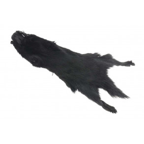 Flyco Golden Squirrel - Black