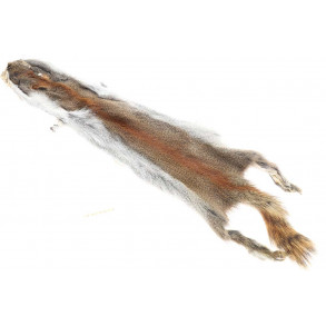 Flyco Golden Squirrel - Natur