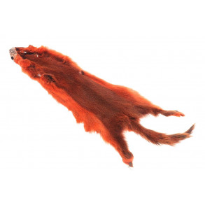 Flyco Golden Squirrel - Orange