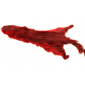 Flyco Golden Squirrel - Red