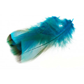 French Partridge - Kingfisher Blue