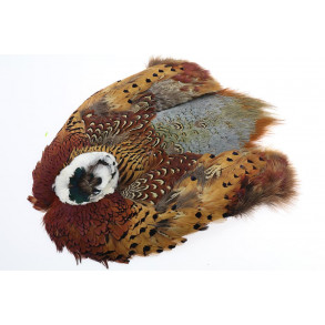 Full Pheasant skin