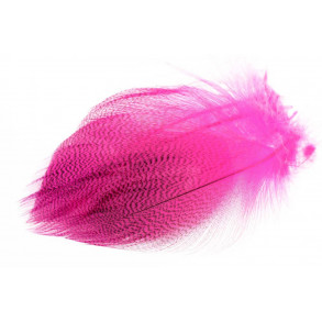 Gadwall Barred Flank - Fluo. Pink