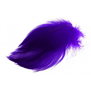 Gadwall Barred Flank - Purple