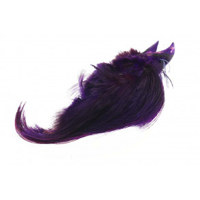 Golden Pheasant Crest - Purple