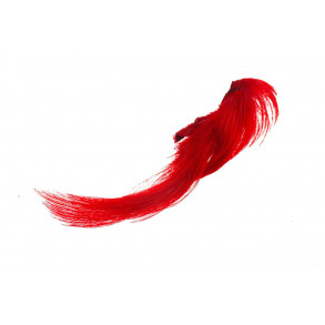 Golden Pheasant Crest - Red