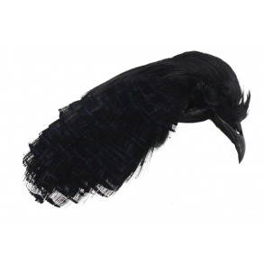 Golden Pheasant Crest & tippet - Black