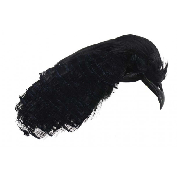 Golden Pheasant Crest &amp; tippet - Black