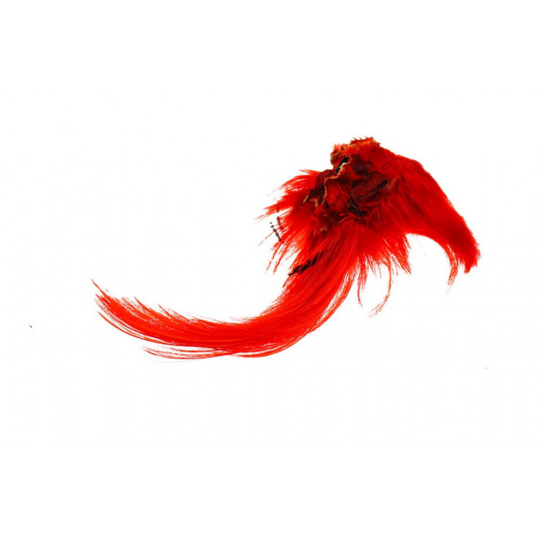 Golden Pheasant Tippet - Orange