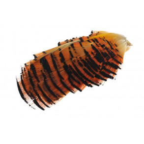 Golden Phesant Tippet - Natural