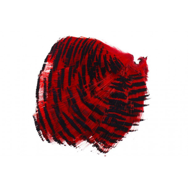 Golden Phesant Tippet - Red