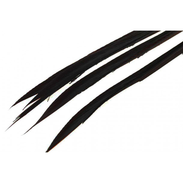 Goose Biots - Black