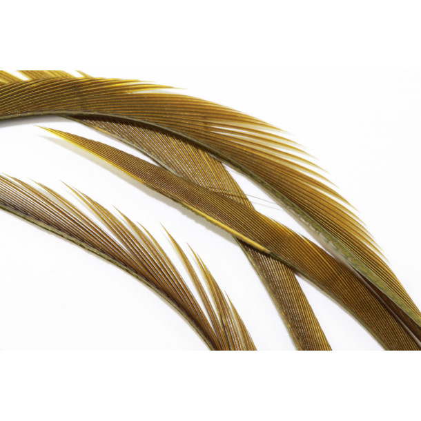 Goose biots - Olive