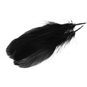 Goose Shoulder Feathers - Black