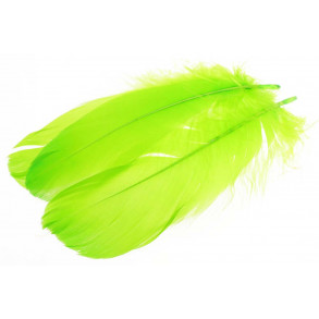 Goose Shoulder Feathers - Green Highlander