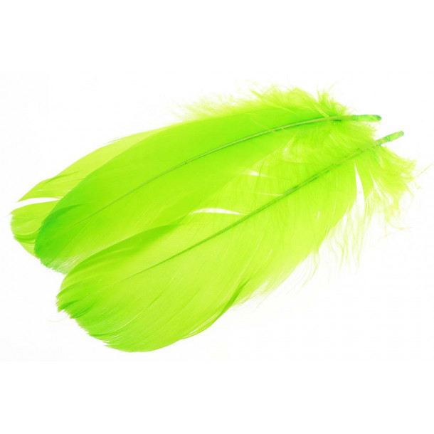 Goose Shoulder Feathers - Green Highlander