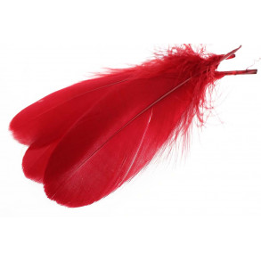 Goose Shoulder Feathers - Red