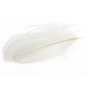 Goose Shoulder Feathers - White