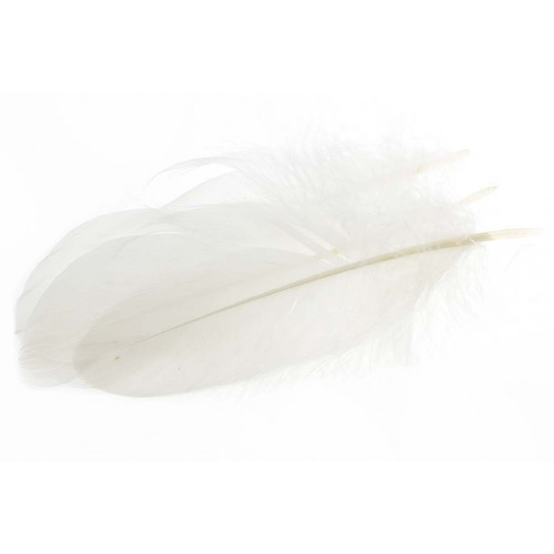 Goose Shoulder Feathers - White