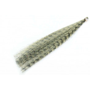 Grizzly Fiber - Shrimp