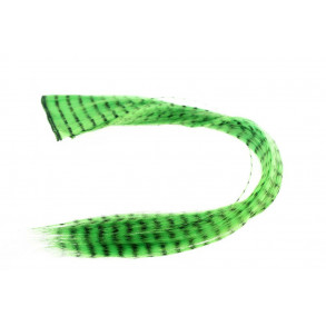 Grizzly Hair - Lime Green