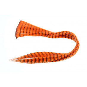 Grizzly Hair - Orange