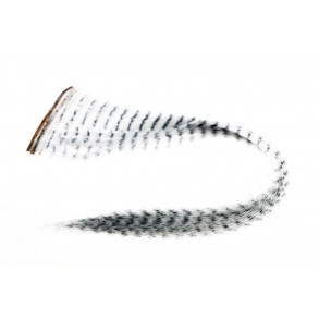 Grizzly Hair - Pearly White