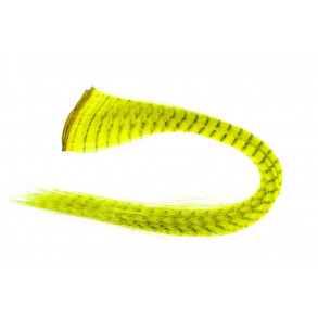 Grizzly Hair - Yellow