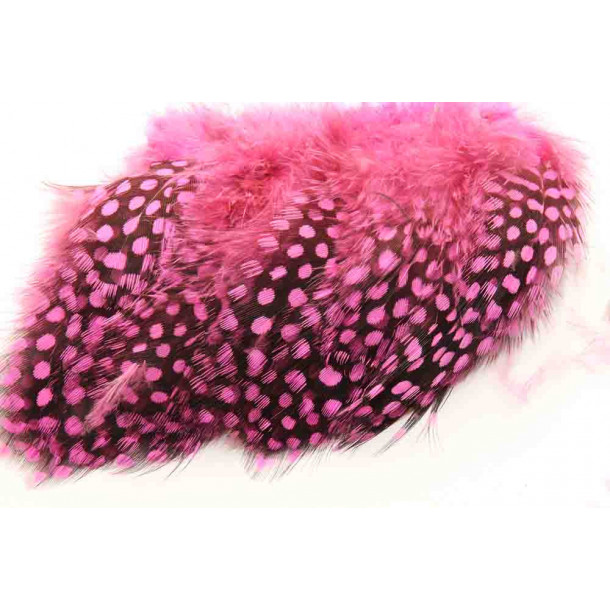 Guinea Fowl - Hot Pink