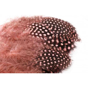 Guinea Fowl - Light Pink