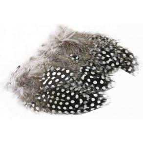 Guinea Fowl - Natural