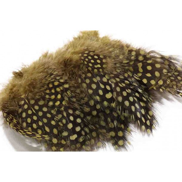 Guinea Fowl - Olive