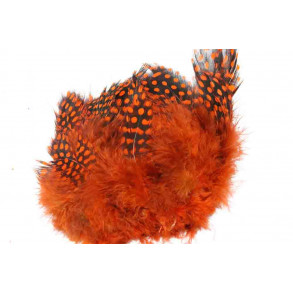 Guinea Fowl - Orange