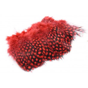 Guinea Fowl - Red