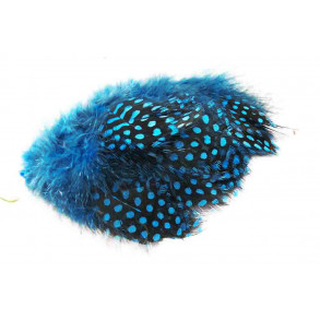 Guinea Fowl - Silver Doctor/Kingfisher Blue