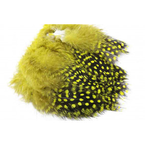 Guinea Fowl - Yellow