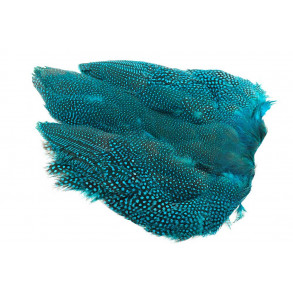 Guinea fowl Full Skin - Kingfisher Blue