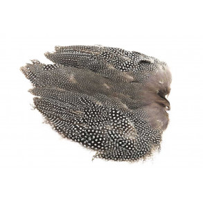 Guinea fowl Full Skin - Natural