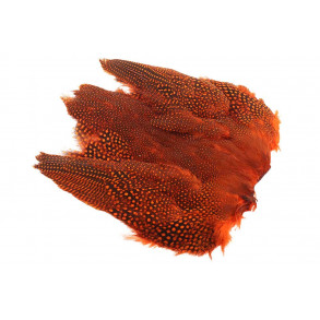 Guinea fowl Full Skin - Orange