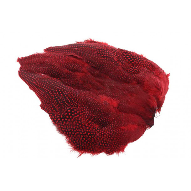 Guinea fowl Full Skin - Red