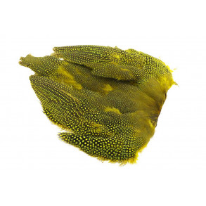 Guinea fowl Full Skin - Yellow
