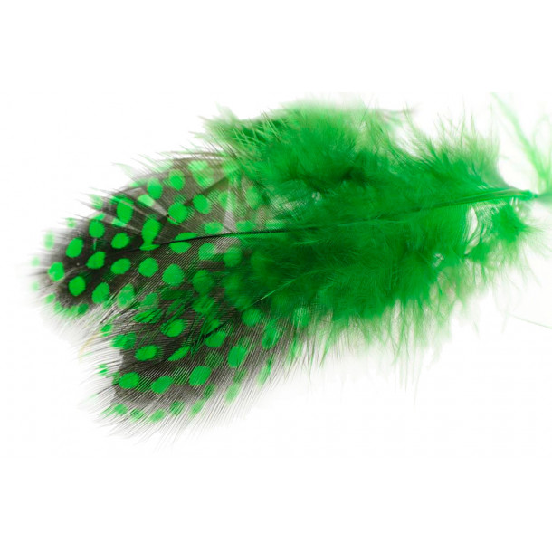 Guinea Fowl.- Green Highlander