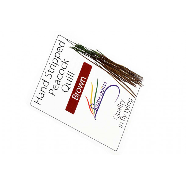 Hand Stripped Peacock Quill - Ginger