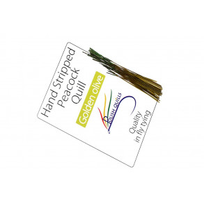Hand Stripped Peacock Quill - Golden Olive