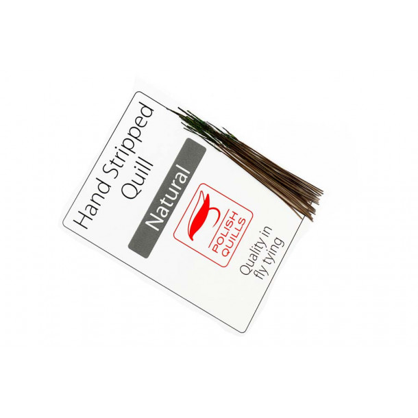 Hand Stripped Peacock Quill - Natural