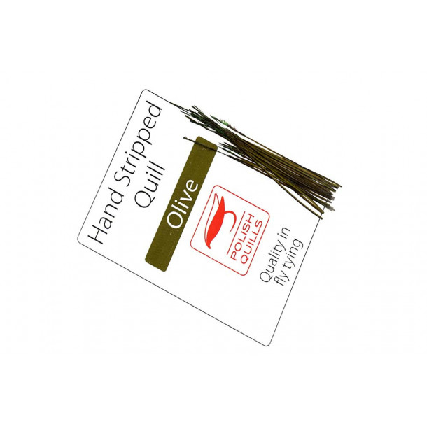 Hand Stripped Peacock Quill - Olive