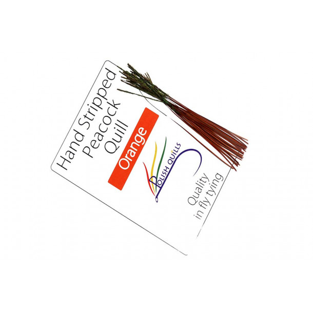 Hand Stripped Peacock Quill - Orange