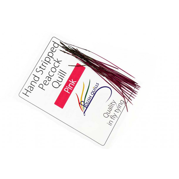 Hand Stripped Peacock Quill - Pink