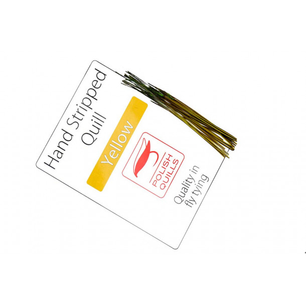 Hand Stripped Peacock Quill - Yellow