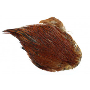 Indian Dry fly Rooster Cape #1 - Brown